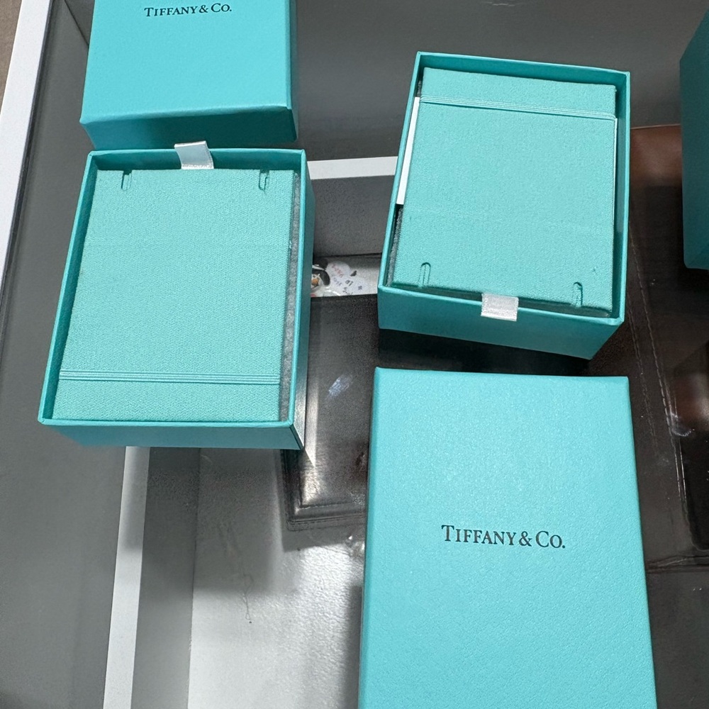 Tiffany & Co. Turquoise Box and pouch collection